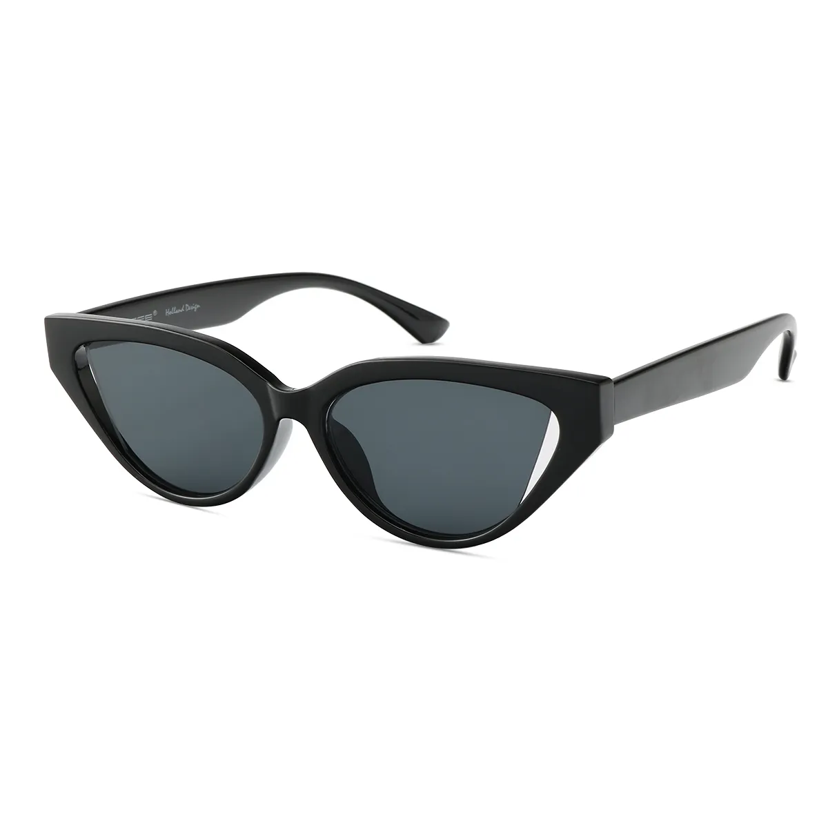 Fashion Cat-eye Black Sunglasses for Women