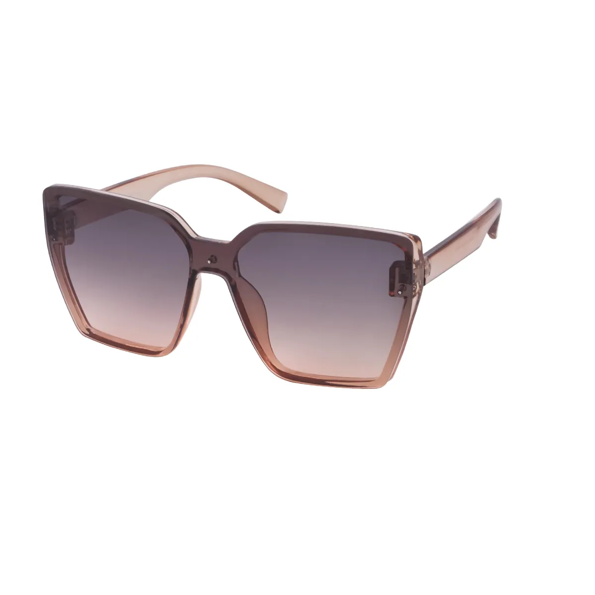Cara - Square Transparent Tea Sunglasses for Women