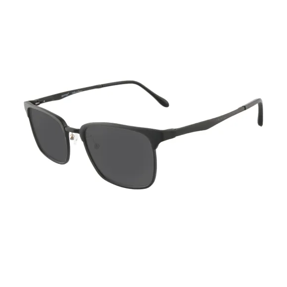 browline black sunglasses