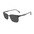 Hilton - Browline Brown Sunglasses for Men