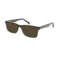 Pettit - Rectangle Brown Sunglasses for Men & Women