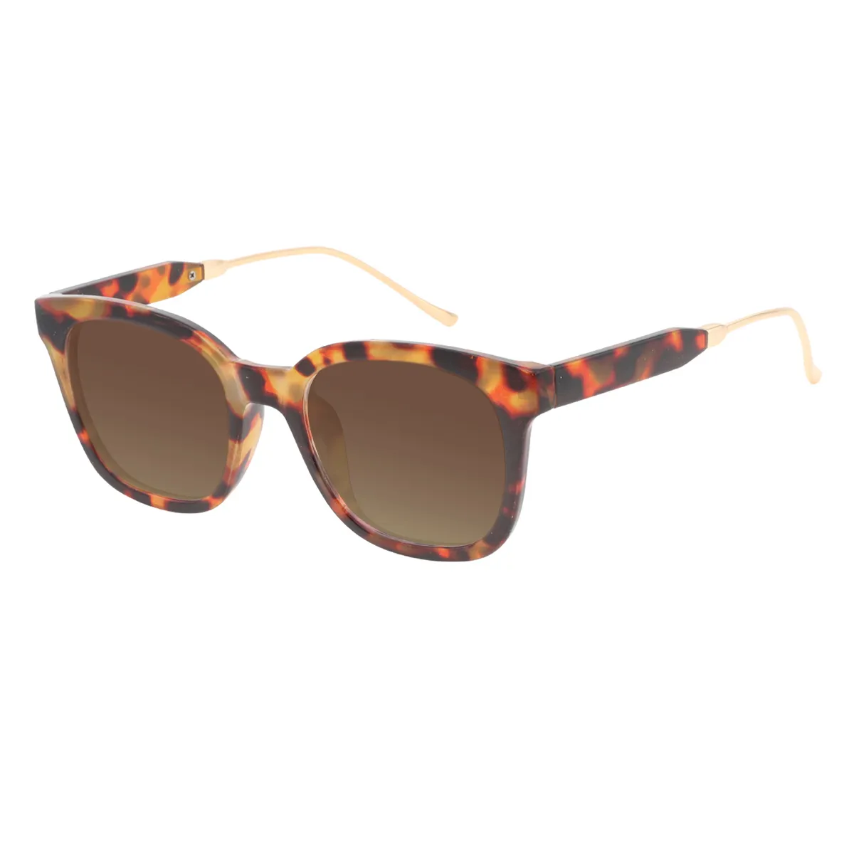 Werner - Square Demi Sunglasses for Women