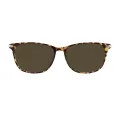 Viola - Oval Demi-Gold Sunglasses for Women